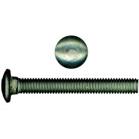 14X2121Cb Stainless Carriage Bolts, 1/4