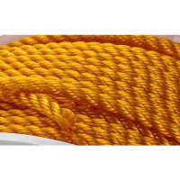 Twist Poly Yellow-3/8