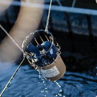 Curt 2400D25 Kasco De-Icer, 120V, 1/2 Hp, 25' Cord - 2400D025 - 353-2400D025F1